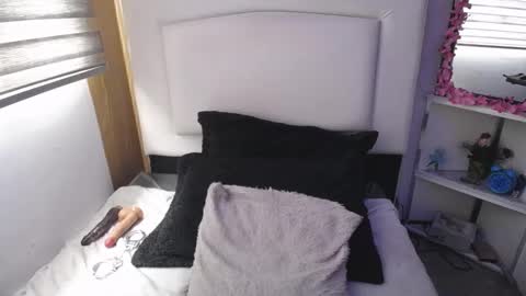 Snapshot of palmer_mix chatting on 03.12.25 Palmer online show from 03.12.25