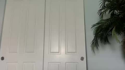 Snapshot of palmflaco chatting on 10.11.25 palmflacco online show from 10.11.25