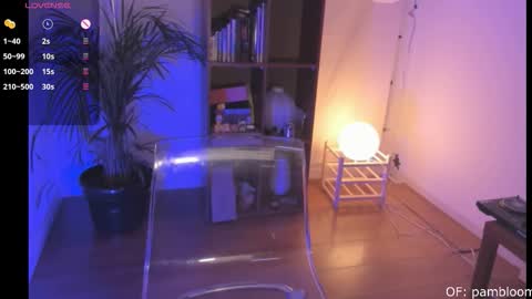     online show from 11.08.25