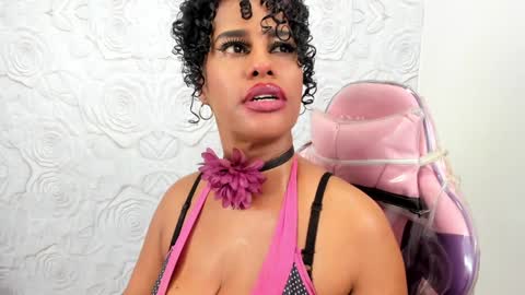 PAMELA online show from 01.14.25