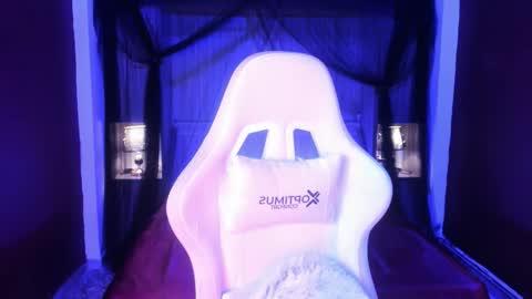  P A M  online show from 02.27.26