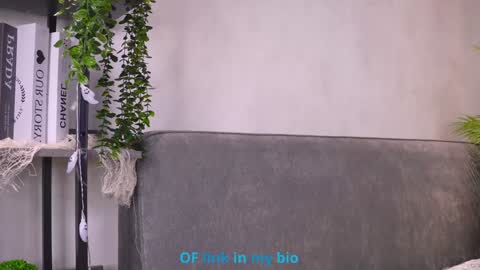 Diana online show from 02.04.26