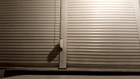 angel hris online show from 01.13.26