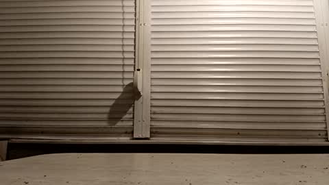 Snapshot of pamid215 chatting on 02.06.26 angel hris online show from 02.06.26