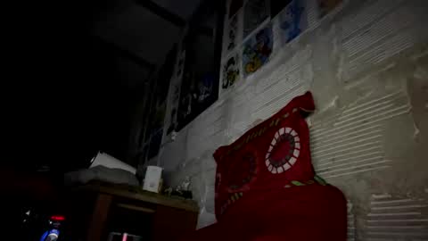 Snapshot of panthers_room chatting on 02.23.25 panthers_room online show from 02.23.25