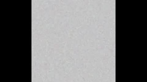 PantsLessTraveler online show from 12.31.24