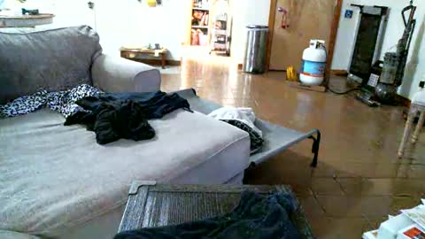 Snapshot of pantyhoselover934 chatting on 12.30.24 Pantyhoselover online show from 12.30.24