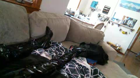 Snapshot of pantyhoselover934 chatting on 12.30.24 Pantyhoselover online show from 12.30.24