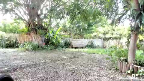 paoguerrax354 online show from 10.19.25