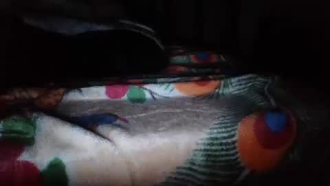 papi mexicano en boxers online show from 11.20.25