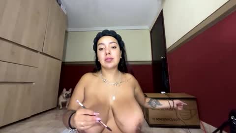 Snapshot of paradise_city__ chatting on 02.15.26 DAILYNPC OF online show from 02.15.26