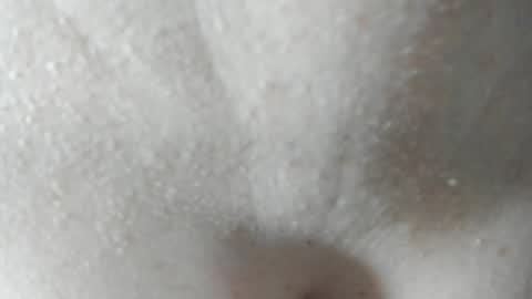 Snapshot of parejacachonda chatting on 12.07.24 sara and andreu online show from 12.07.24