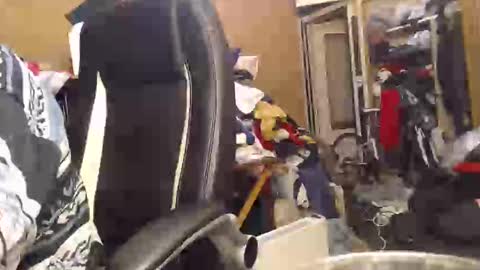 pascal88881 online show from 12.02.24