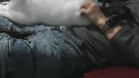 pasexhibe online show from 02.01.26