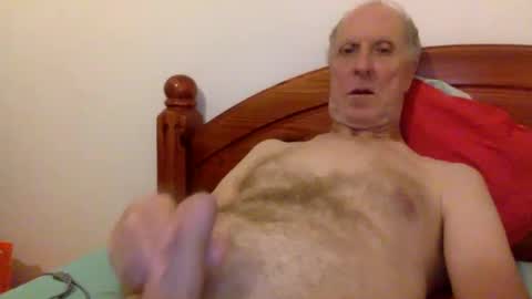 Pati24 online show from 01.02.25