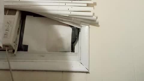 JD online show from 12.17.24