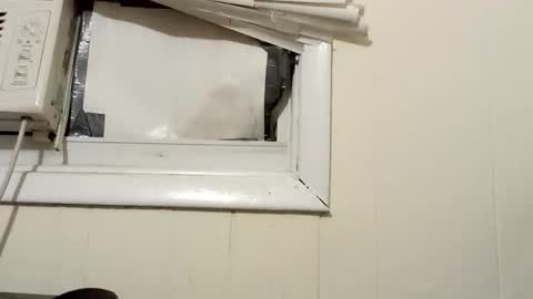 JD online show from 12.18.24