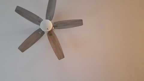 patrick247288 online show from 01.12.25