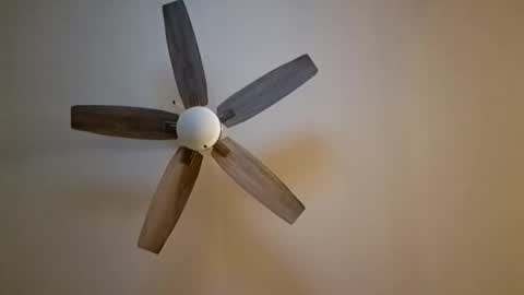 patrick247288 online show from 11.07.25