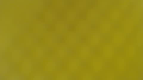 patty squirt87 online show from 02.19.25