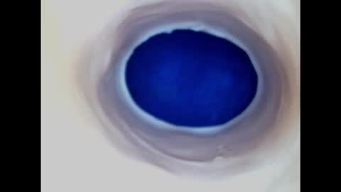 Paula 18 Aninhos online show from 11.09.25