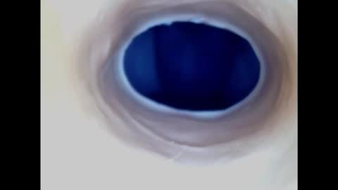 Paula 18 Aninhos online show from 11.17.25