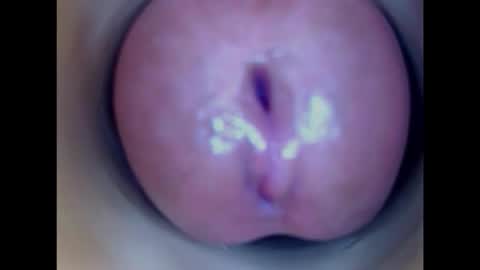 Snapshot of paulainoscente chatting on 01.15.26 Paula 18 Aninhos online show from 01.15.26