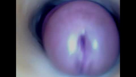 Snapshot of paulainoscente chatting on 02.14.26 Paula 18 Aninhos online show from 02.14.26