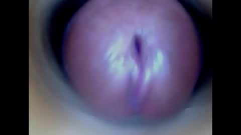 Snapshot of paulainoscente chatting on 02.21.26 Paula 18 Aninhos online show from 02.21.26