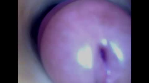 Snapshot of paulainoscente chatting on 02.27.26 Paula 18 Aninhos online show from 02.27.26