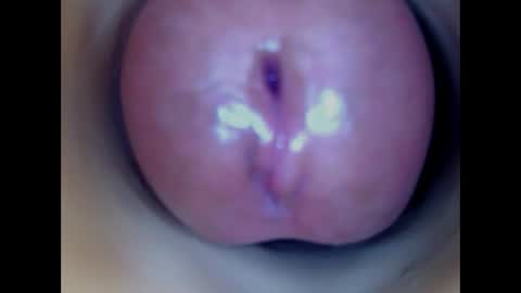 Snapshot of paulainoscente chatting on 04.19.26 Paula 18 Aninhos online show from 04.19.26