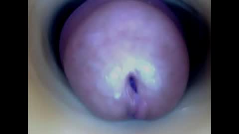 Snapshot of paulainoscente chatting on 05.13.26 Paula 18 Aninhos online show from 05.13.26