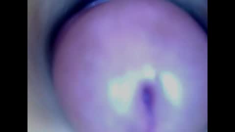 Snapshot of paulainoscente chatting on 05.18.26 Paula 18 Aninhos online show from 05.18.26