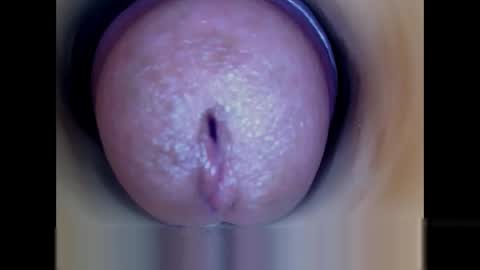 Snapshot of paulainoscente chatting on 05.19.26 Paula 18 Aninhos online show from 05.19.26