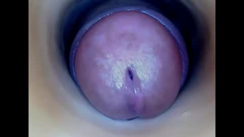Snapshot of paulainoscente chatting on 05.22.26 Paula 18 Aninhos online show from 05.22.26