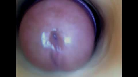 Snapshot of paulainoscente chatting on 05.27.26 Paula 18 Aninhos online show from 05.27.26