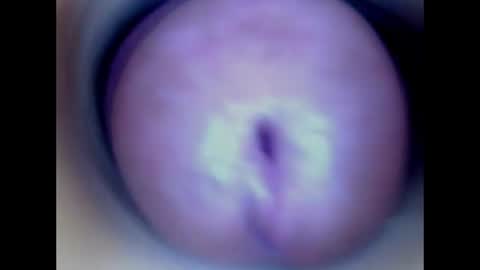 Snapshot of paulainoscente chatting on 06.16.26 Paula 18 Aninhos online show from 06.16.26