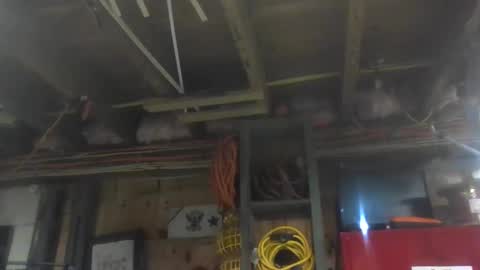 Snapshot of paulstetson chatting on 12.20.24 paulstetson online show from 12.20.24