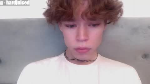 pawclaw online show from 04.07.26