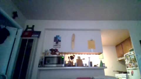 Snapshot of pawgkiller chatting on 10.11.25 pawgkiller online show from 10.11.25