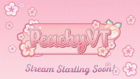 Snapshot of peachyvt chatting on 02.22.26 Peachy aka Emmi or Mimi online show from 02.22.26