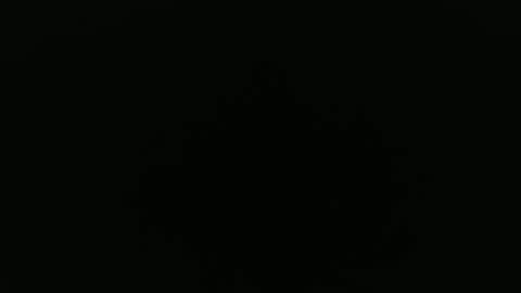 Alex online show from 09.24.25