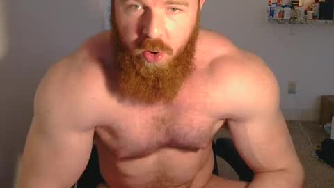 Pec inspector online show from 03.12.25