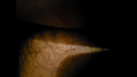 Snapshot of pedritu7 chatting on 01.24.25 Alex online show from 01.24.25