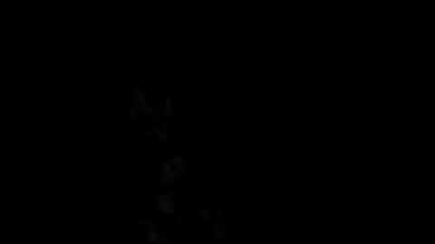 Snapshot of pedritu7 chatting on 02.18.25 Alex online show from 02.18.25