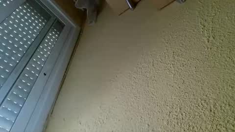 Snapshot of perales_12345 chatting on 04.19.26 perales_12345 online show from 04.19.26