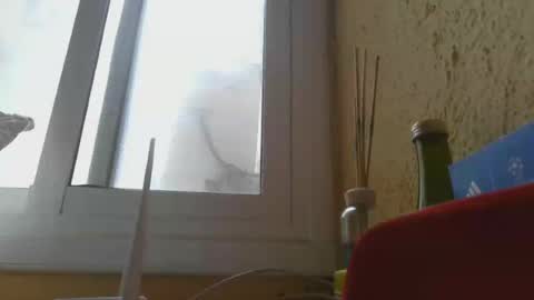 perales_12345 online show from 06.14.26