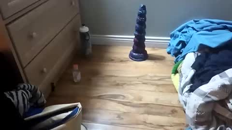 perdz768563 online show from 03.22.26