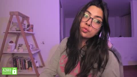 Snapshot of perfect__ana chatting on 03.02.25 Sarah Ana Banana online show from 03.02.25