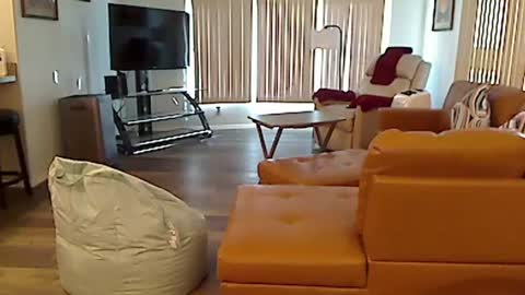 perfecto1957 online show from 12.03.24